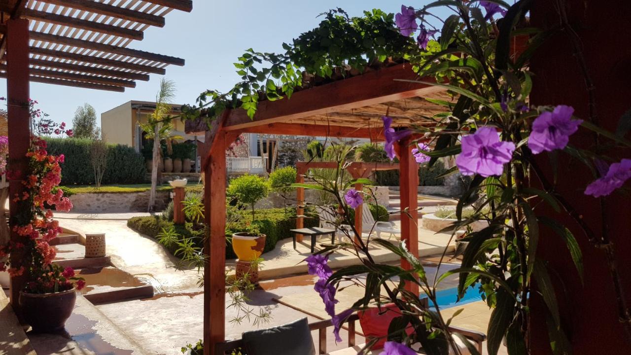 Terrasses vertes Essaouira Eksteriør bilde
